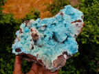 Natural Large Exquisite Drusy Coated Chrysocolla Specimen x 1 From Lupoto Mine, Congo