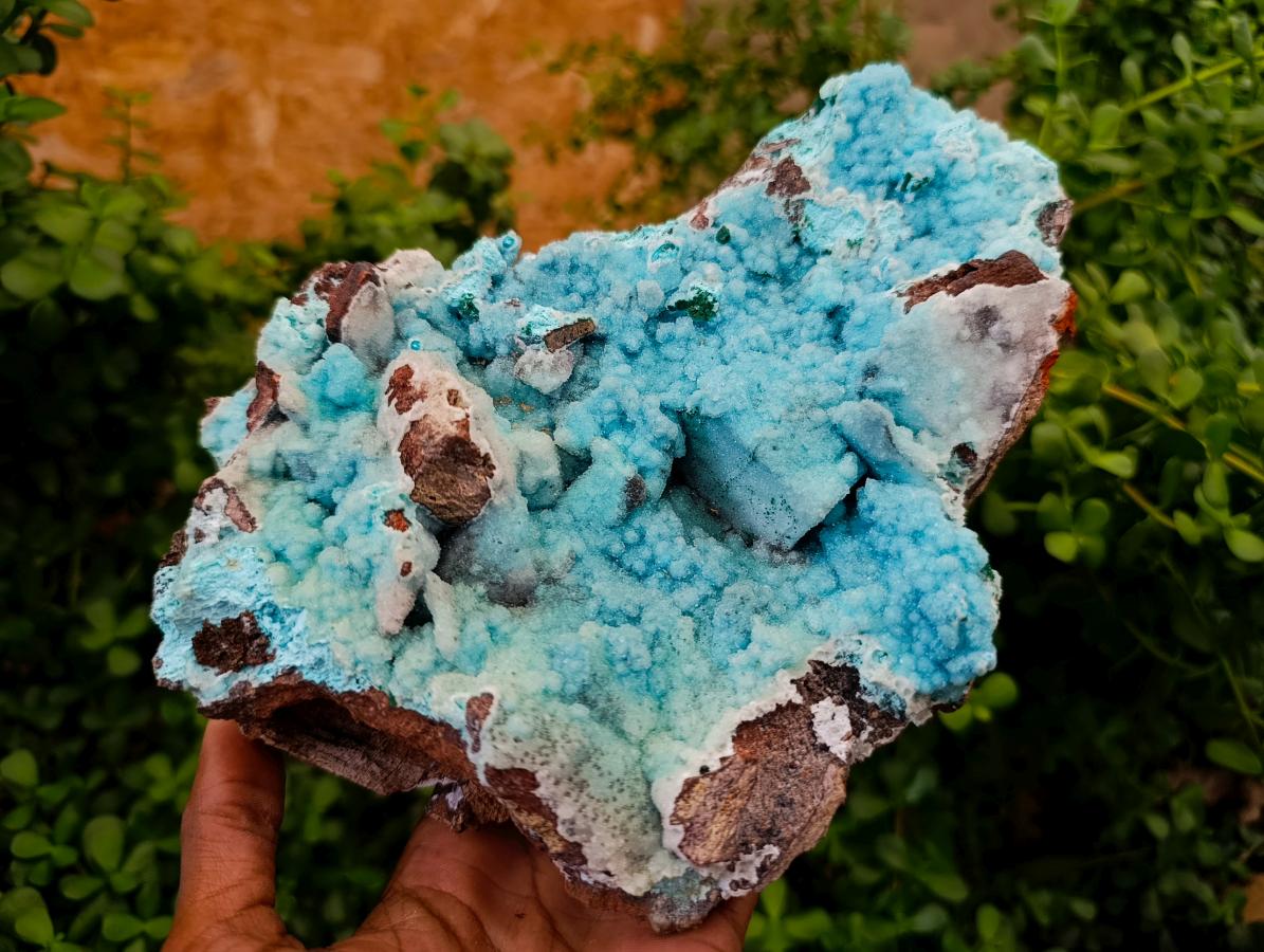 Natural Large Exquisite Drusy Coated Chrysocolla Specimen x 1 From Lupoto Mine, Congo