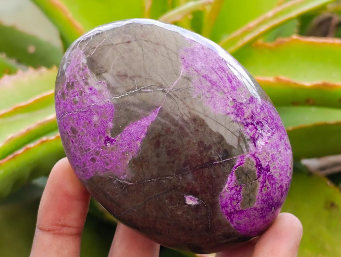 Polished Stichtite Free Forms x 6 From Barberton, South Africa