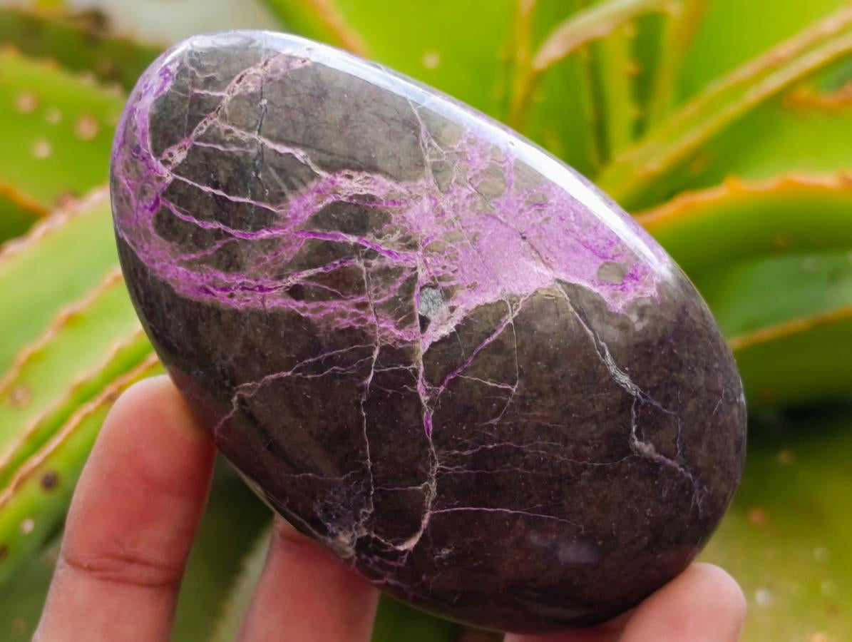 Polished Stichtite Free Forms x 6 From Barberton, South Africa