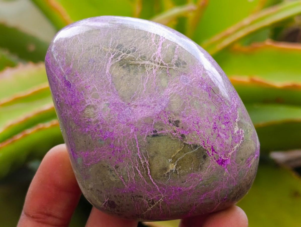 Polished Stichtite Free Forms x 6 From Barberton, South Africa