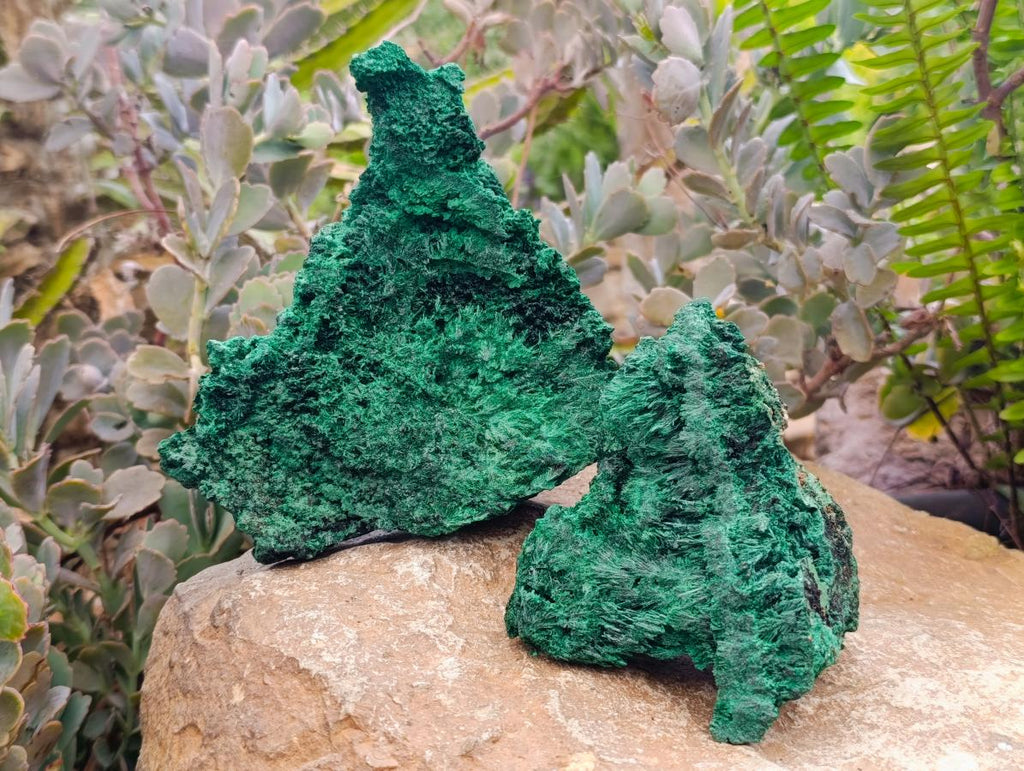 Natural Silky Malachite Specimens x 2 From Kasompe, Congo