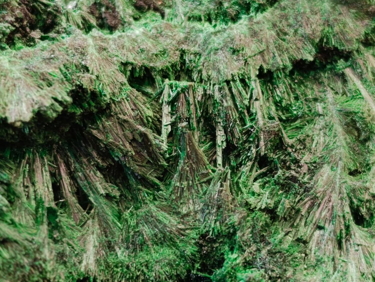 Natural Silky Malachite Specimens x 2 From Kasompe, Congo