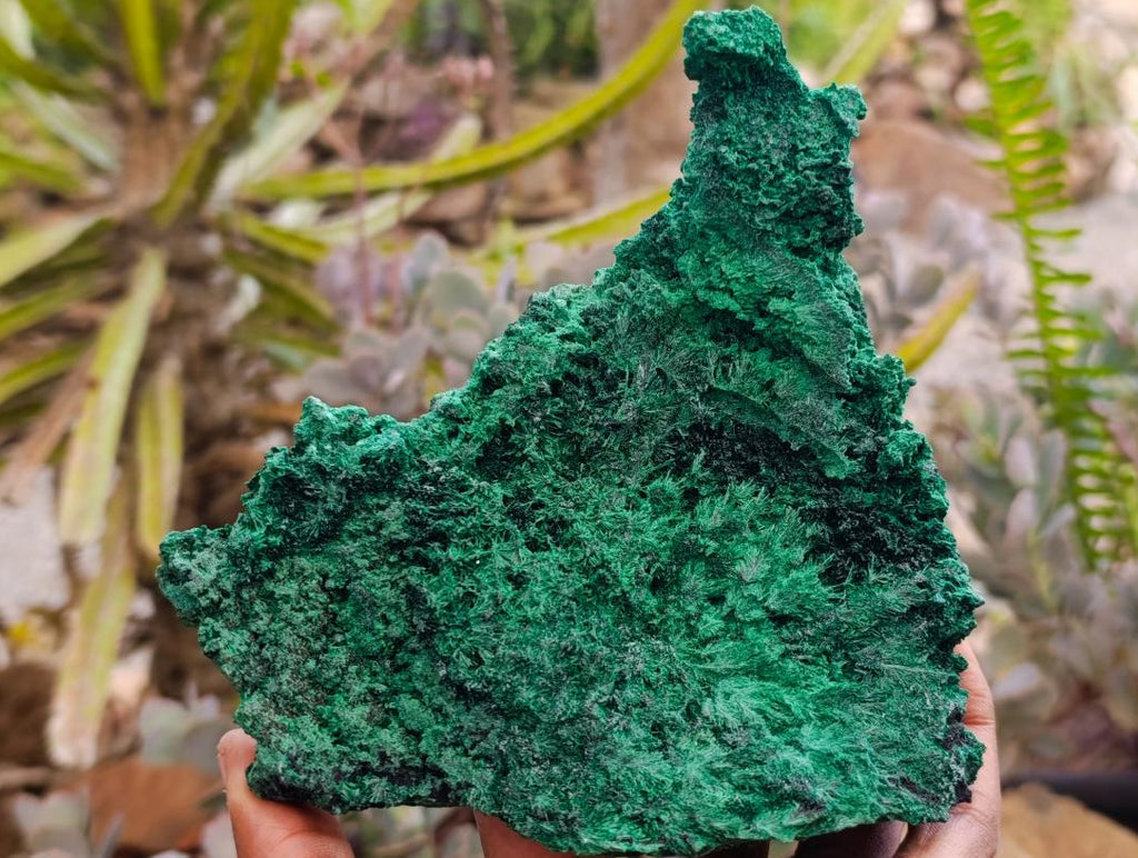 Natural Silky Malachite Specimens x 2 From Kasompe, Congo