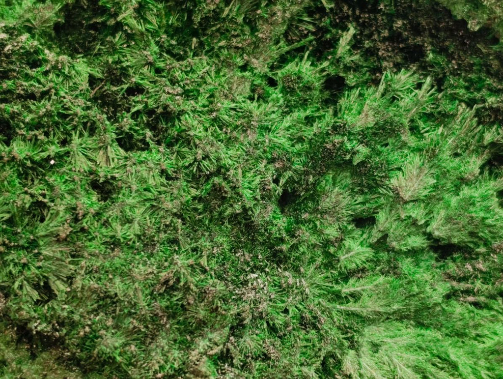 Natural Silky Malachite Specimens x 2 From Kasompe, Congo