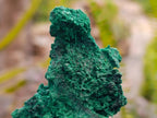 Natural Silky Malachite Specimens x 2 From Kasompe, Congo