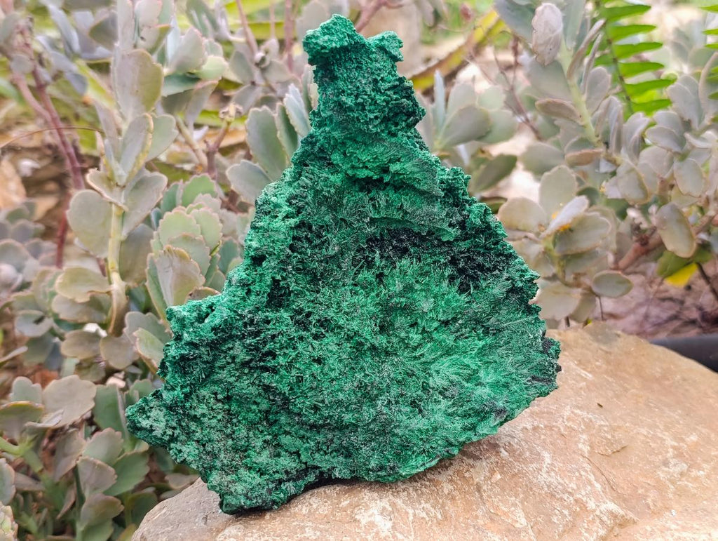 Natural Silky Malachite Specimens x 2 From Kasompe, Congo