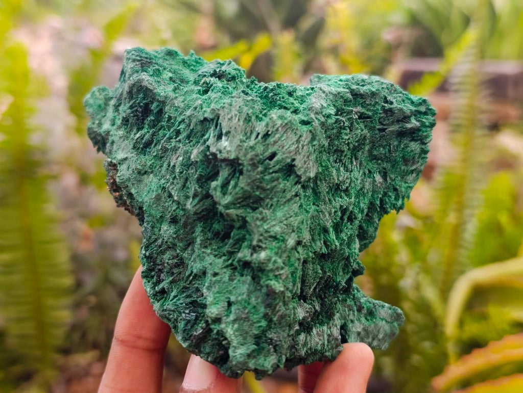 Natural Silky Malachite Specimens x 2 From Kasompe, Congo