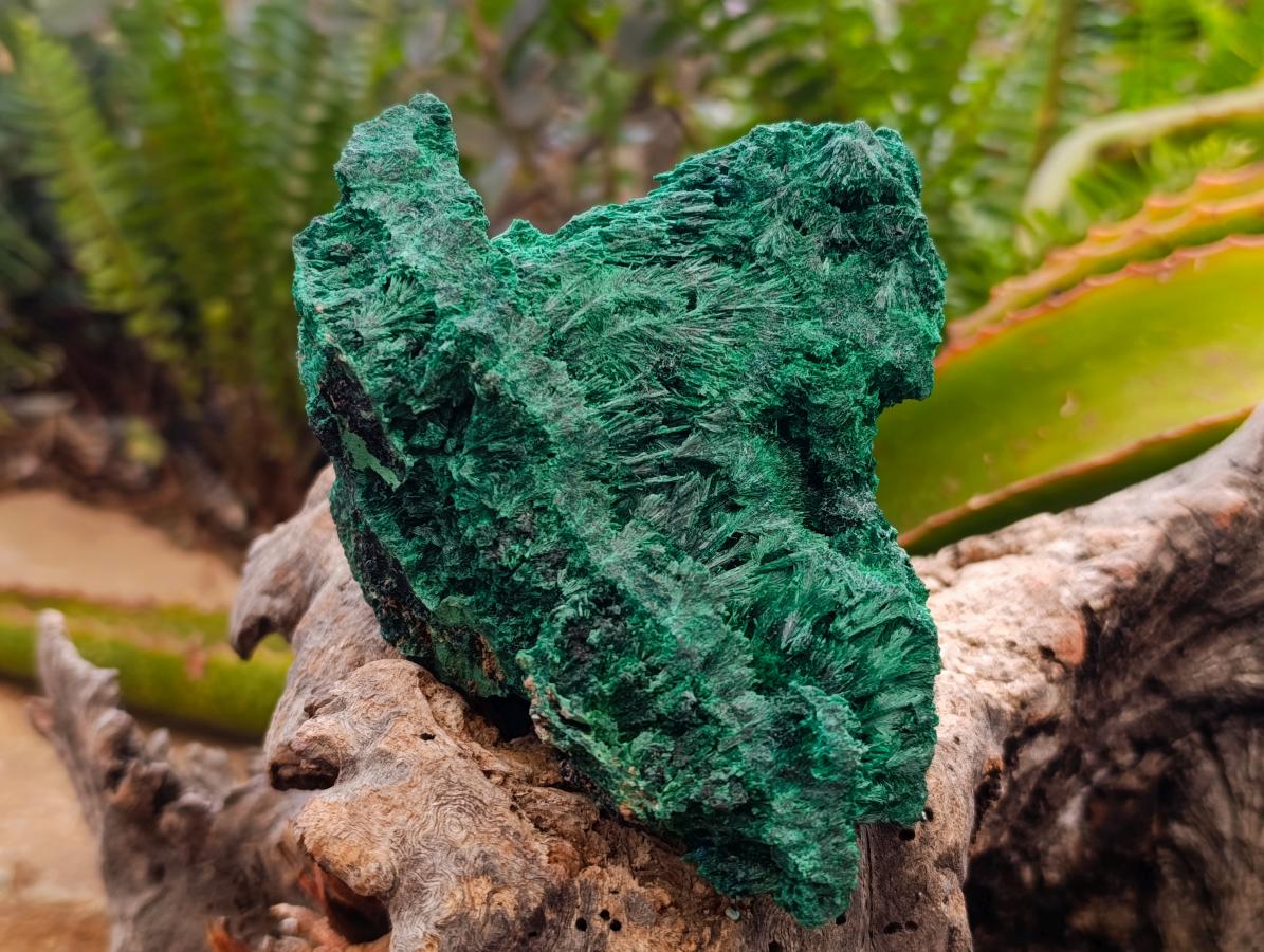 Natural Silky Malachite Specimens x 2 From Kasompe, Congo