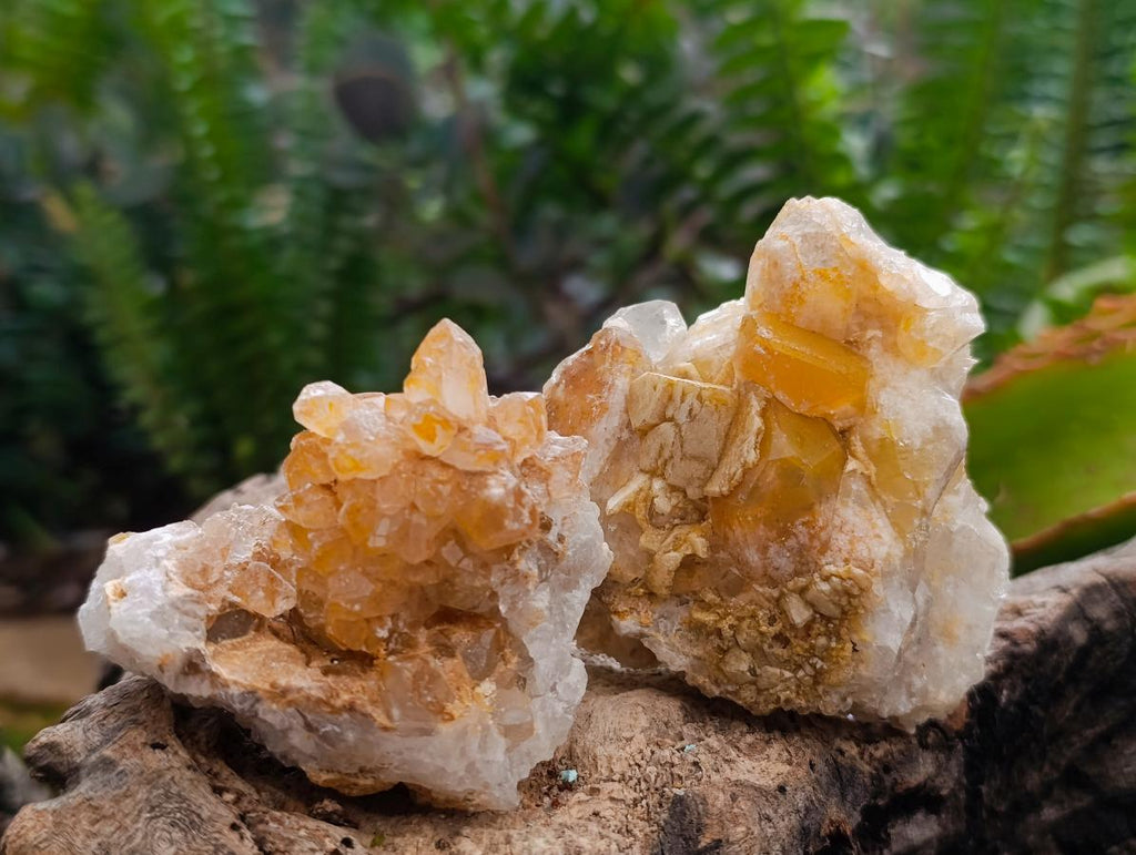Natural Limonite Quartz Clusters x 24 From Solwezi, Zambia