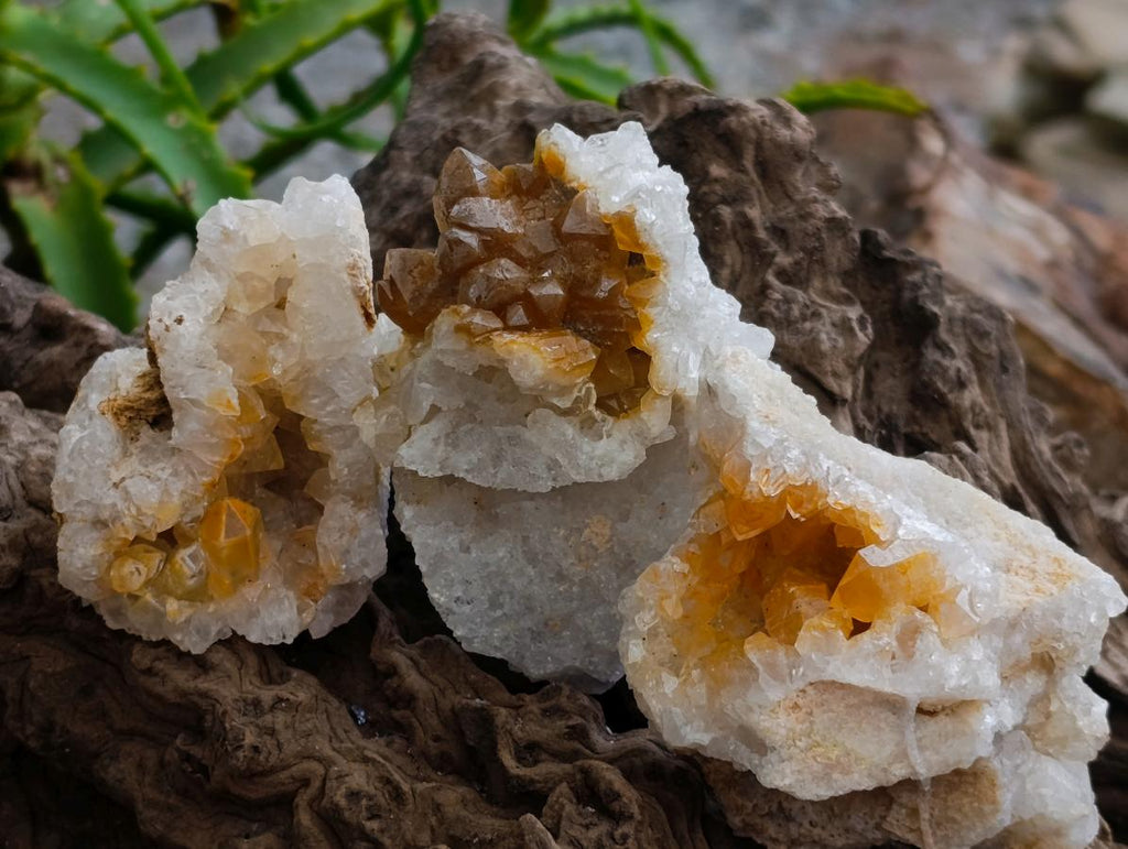 Natural Limonite Quartz Clusters x 24 From Solwezi, Zambia