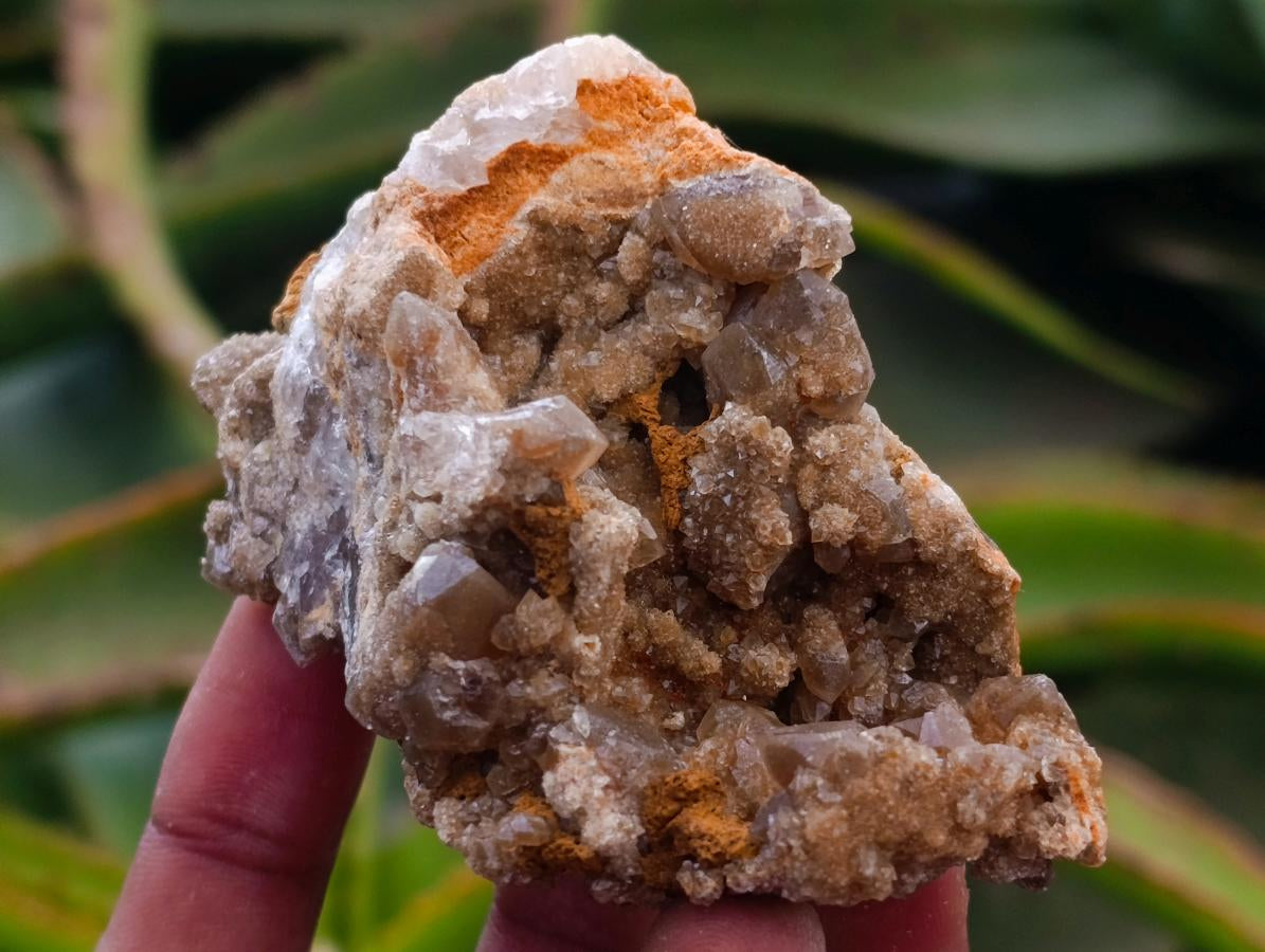 Natural Limonite Quartz Clusters x 24 From Solwezi, Zambia