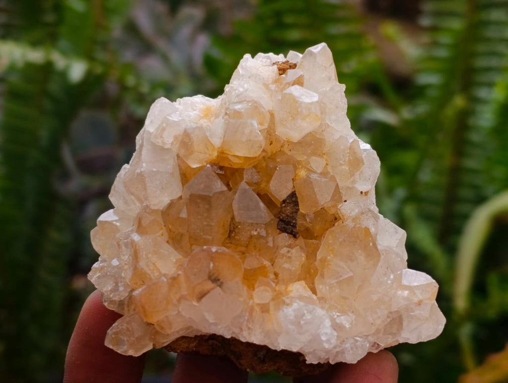 Natural Limonite Quartz Clusters x 24 From Solwezi, Zambia