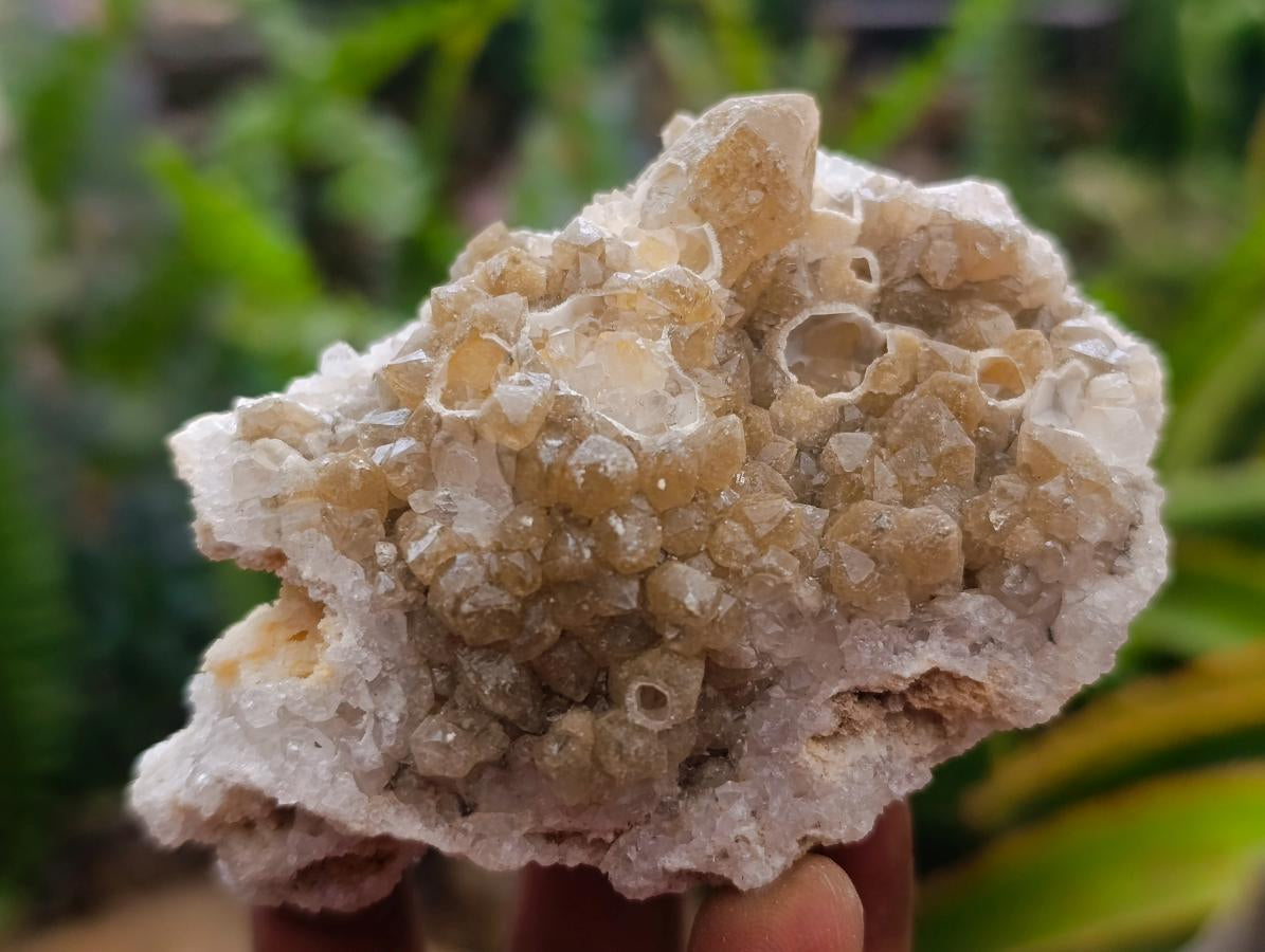 Natural Limonite Quartz Clusters x 24 From Solwezi, Zambia