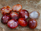 Polished Carnelian Agate Gemstone Galets x 25 From Madagascar