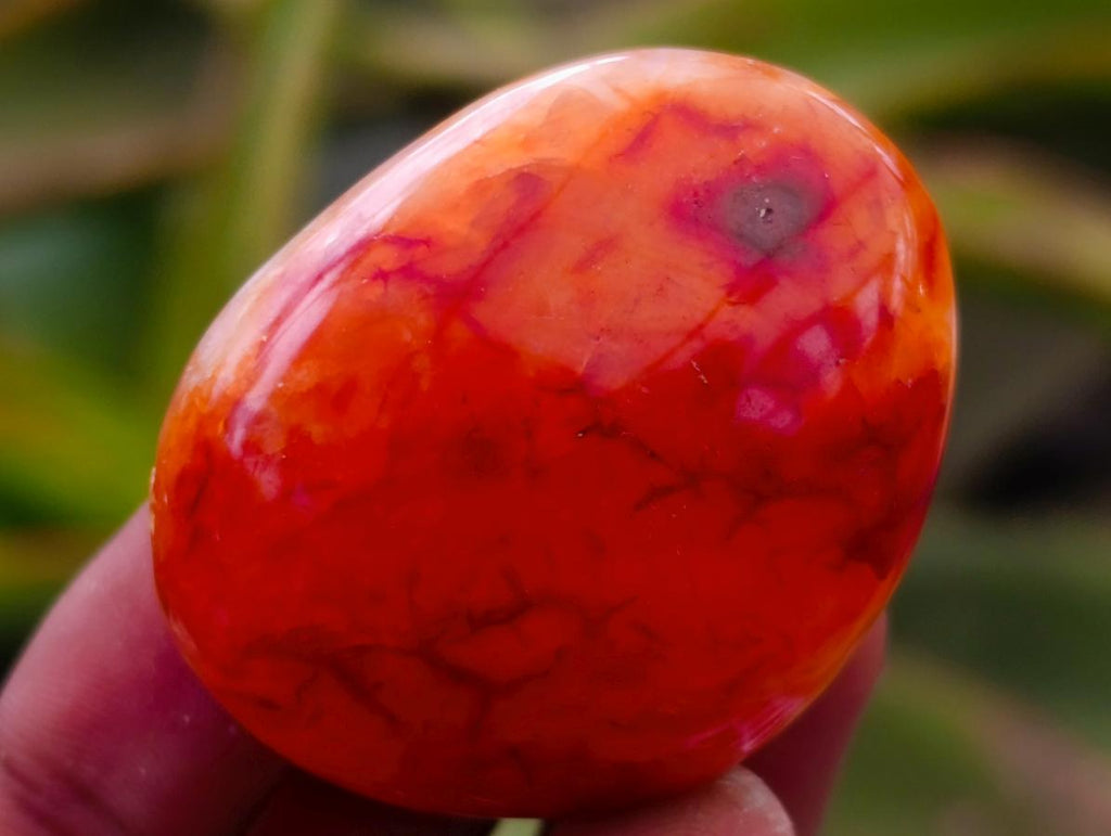 Polished Carnelian Agate Gemstone Galets x 25 From Madagascar