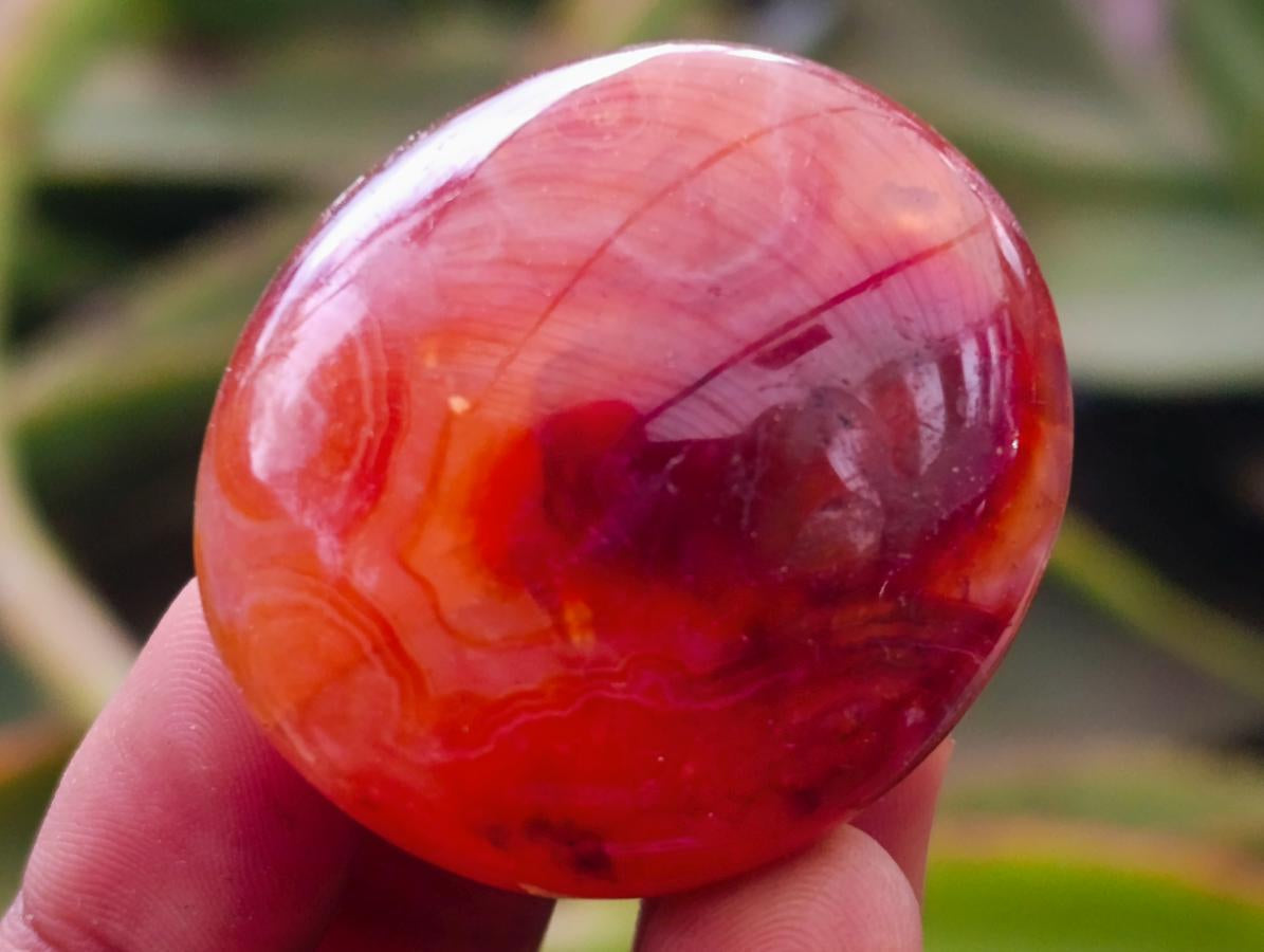 Polished Carnelian Agate Gemstone Galets x 25 From Madagascar
