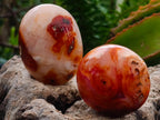 Polished Carnelian Agate Gemstone Galets x 25 From Madagascar