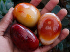 Polished Carnelian Agate Gemstone Galets x 25 From Madagascar
