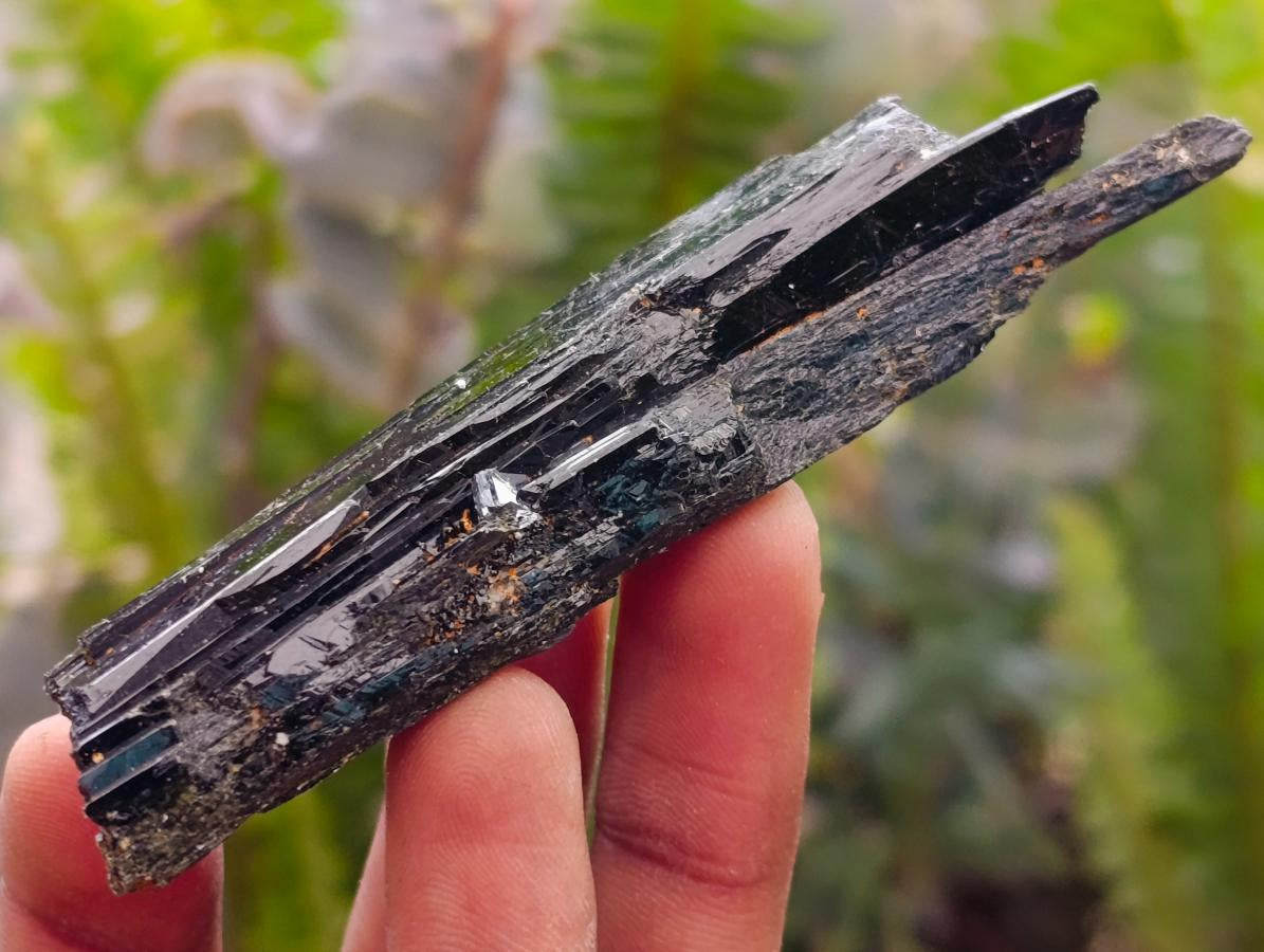 Natural Shiny Aegirine Specimens x 24 From Zomba, Malawi