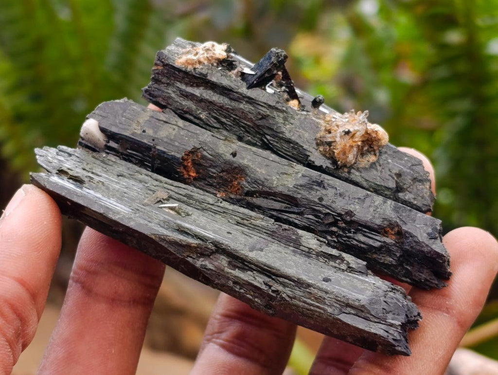 Natural Shiny Aegirine Specimens x 24 From Zomba, Malawi