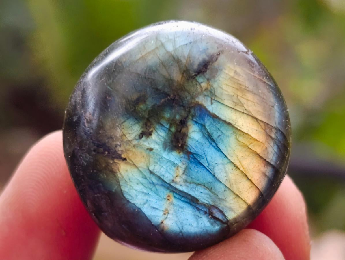 Polished Rounded Labradorite Free Forms x 77 From Madagascar
