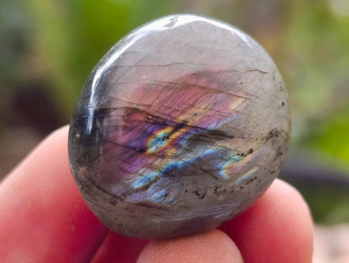 Polished Rounded Labradorite Free Forms x 77 From Madagascar