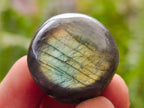 Polished Rounded Labradorite Free Forms x 77 From Madagascar