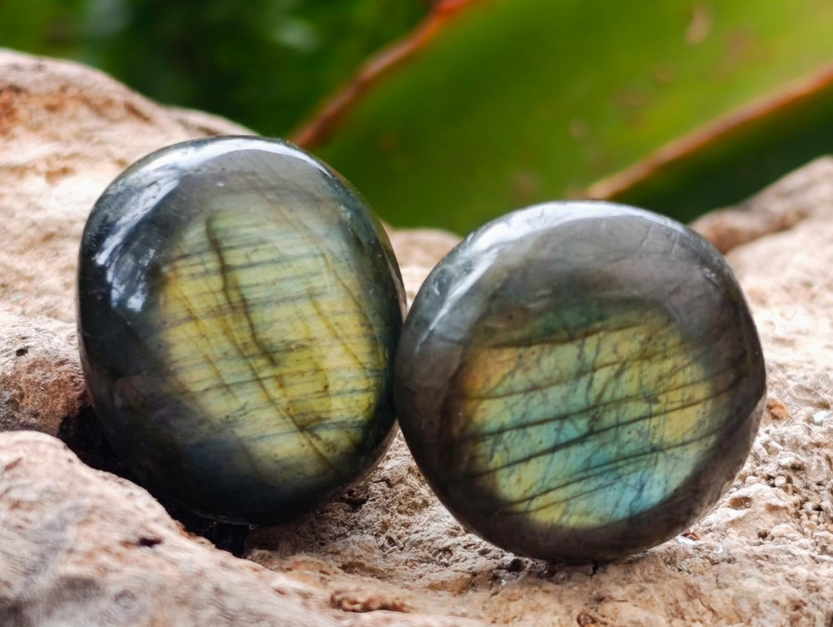 Polished Rounded Labradorite Free Forms x 77 From Madagascar