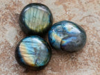 Polished Rounded Labradorite Free Forms x 77 From Madagascar