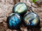 Polished Rounded Labradorite Free Forms x 77 From Madagascar