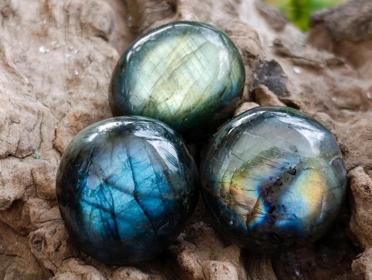 Polished Rounded Labradorite Free Forms x 77 From Madagascar