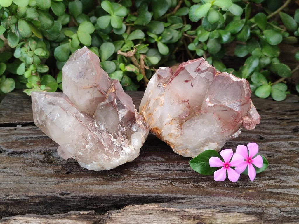 Natural Red Hematoid Quartz Crystal Clusters x 2 From Karoi, Zimbabwe