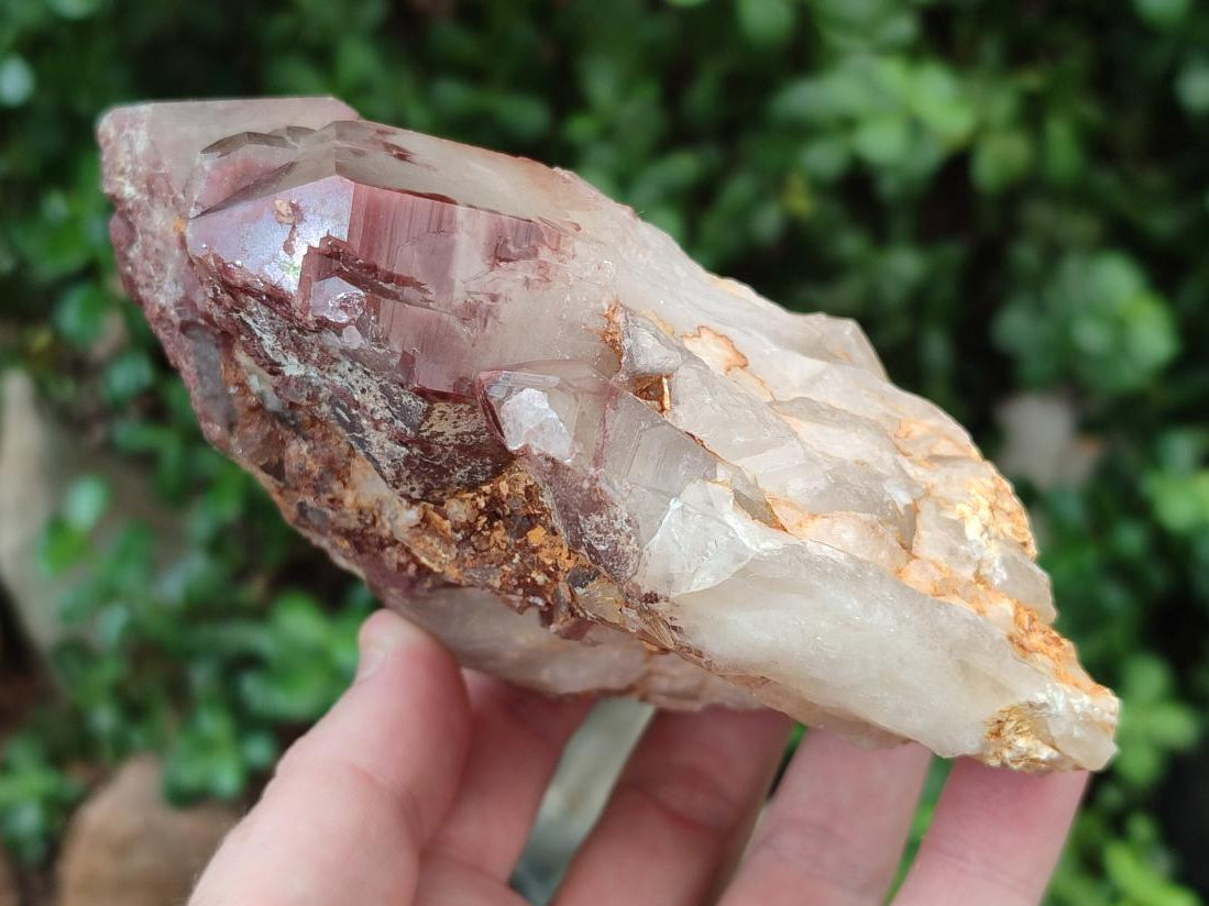Natural Red Hematoid Quartz Crystal Clusters x 2 From Karoi, Zimbabwe