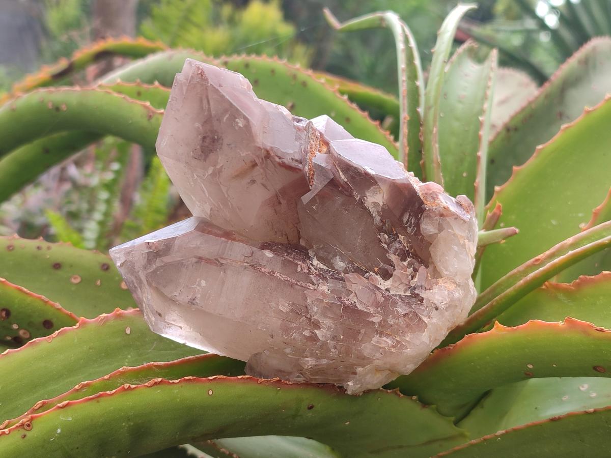 Natural Red Hematoid Quartz Crystal Clusters x 2 From Karoi, Zimbabwe