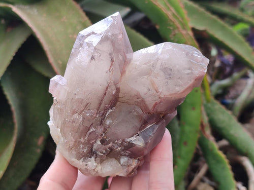 Natural Red Hematoid Quartz Crystal Clusters x 2 From Karoi, Zimbabwe