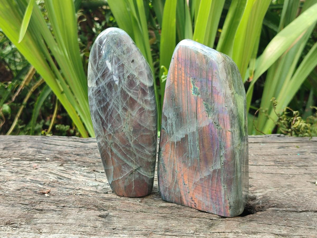 Polished Rare Purple Sunset Flash Labradorite Standing Free Forms x 2 From Madagascar