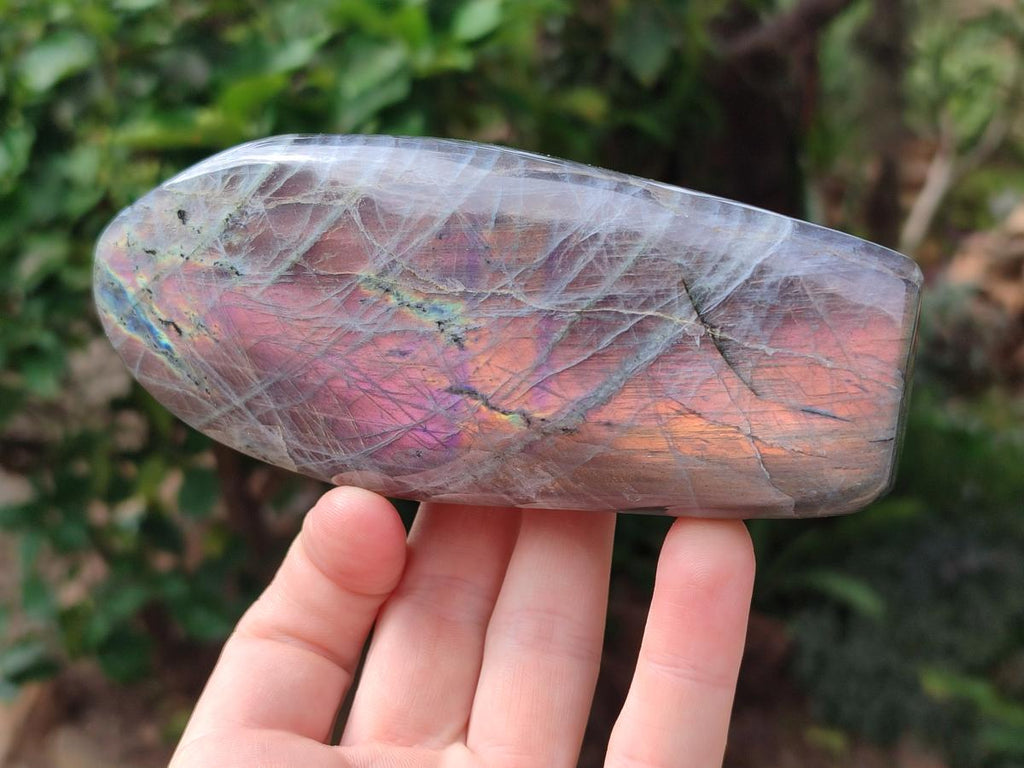 Polished Rare Purple Sunset Flash Labradorite Standing Free Forms x 2 From Madagascar