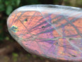 Polished Rare Purple Sunset Flash Labradorite Standing Free Forms x 2 From Madagascar