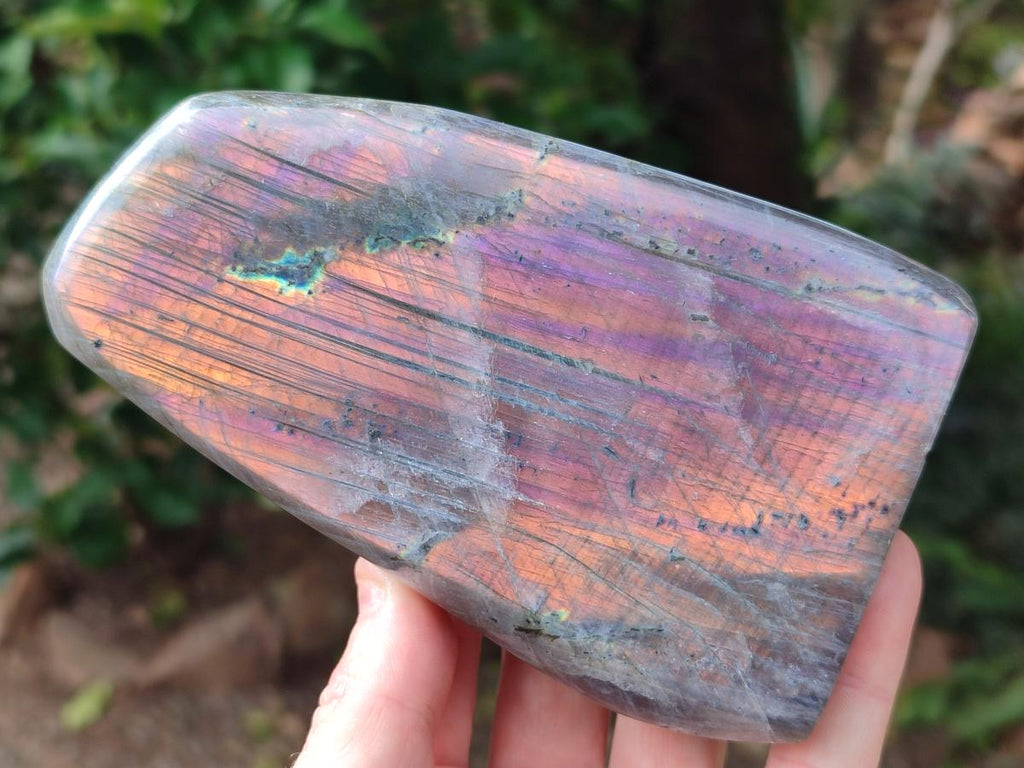 Polished Rare Purple Sunset Flash Labradorite Standing Free Forms x 2 From Madagascar
