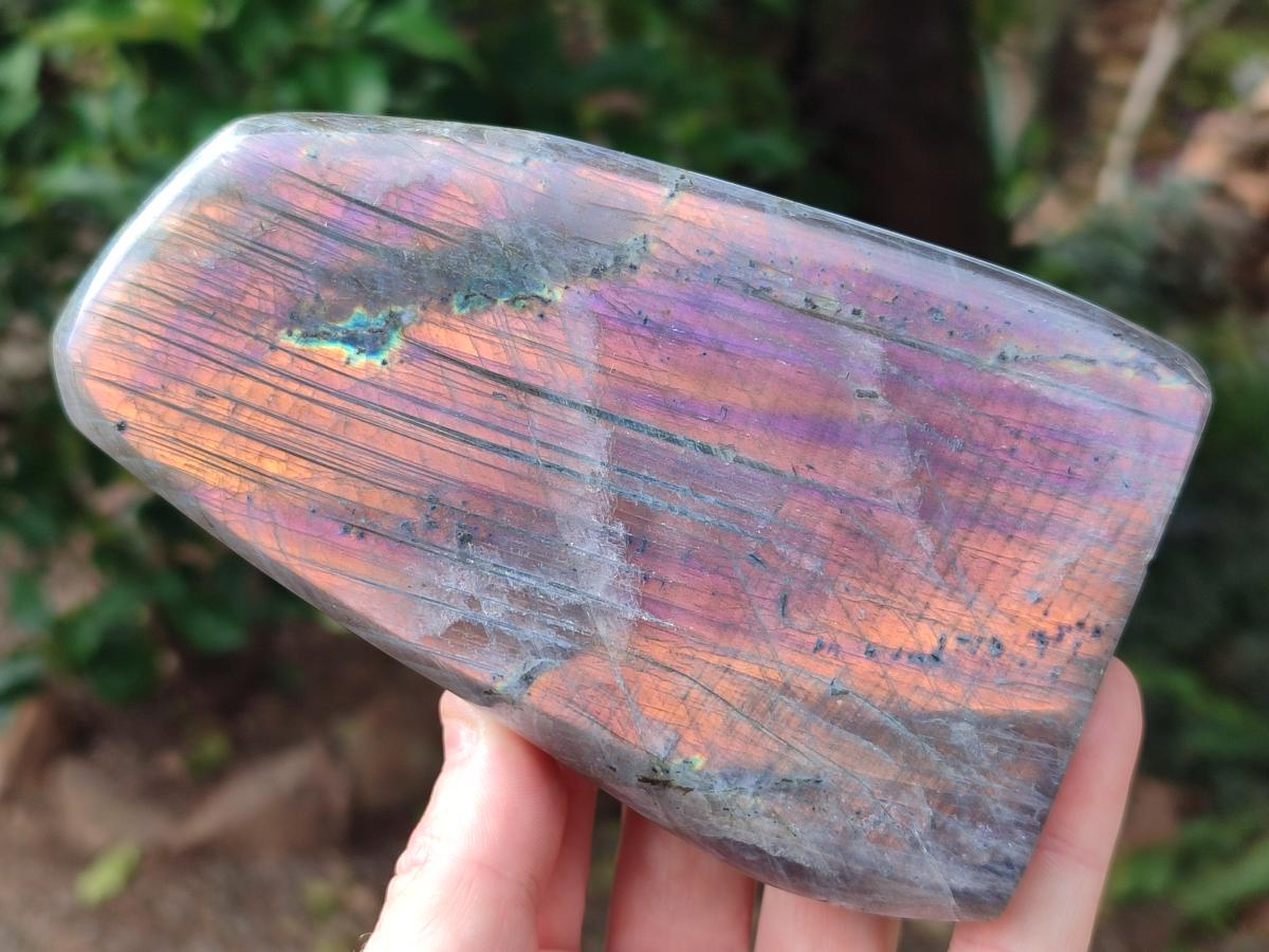 Polished Rare Purple Sunset Flash Labradorite Standing Free Forms x 2 From Madagascar