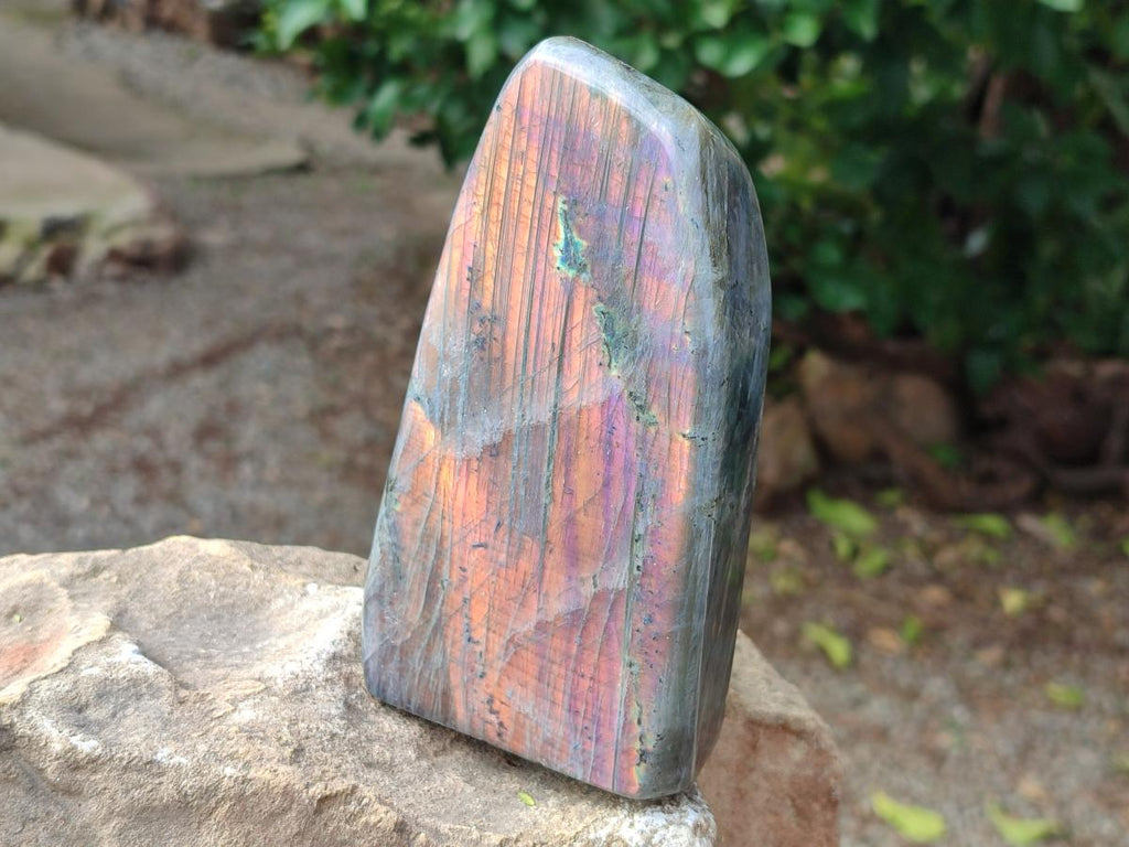 Polished Rare Purple Sunset Flash Labradorite Standing Free Forms x 2 From Madagascar