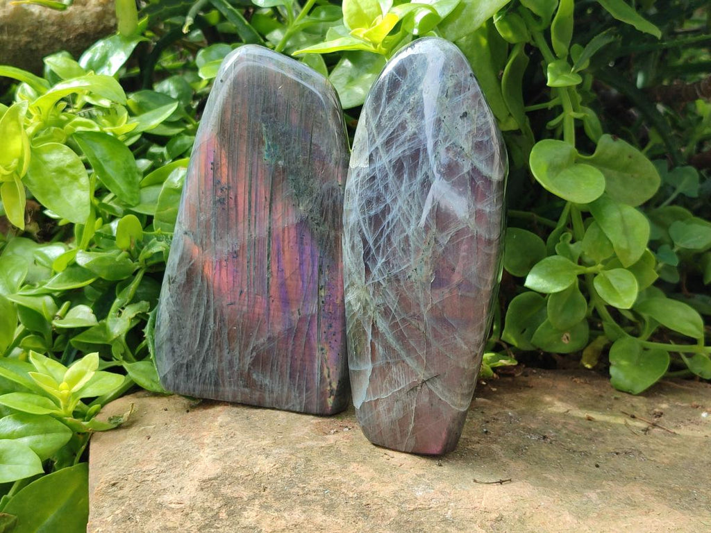 Polished Rare Purple Sunset Flash Labradorite Standing Free Forms x 2 From Madagascar