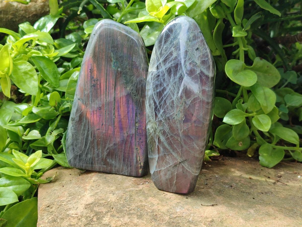 Polished Rare Purple Sunset Flash Labradorite Standing Free Forms x 2 From Madagascar