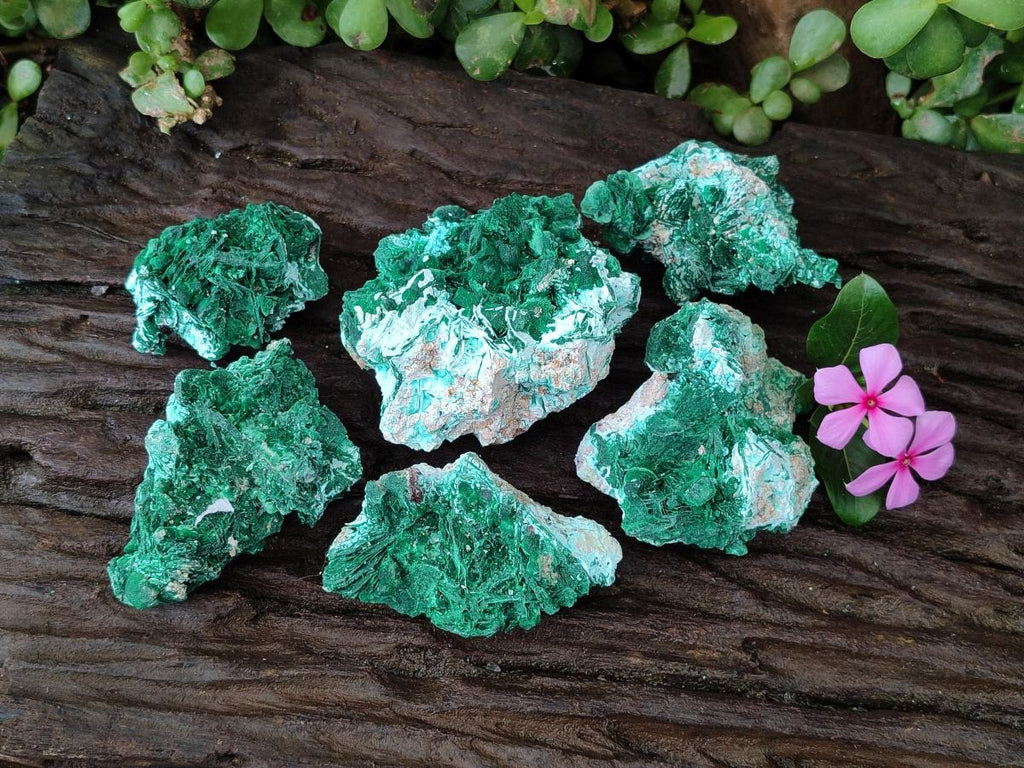 Natural Rare Malachite Pseudomorph Specimens x 6 From Kolwezi, Congo