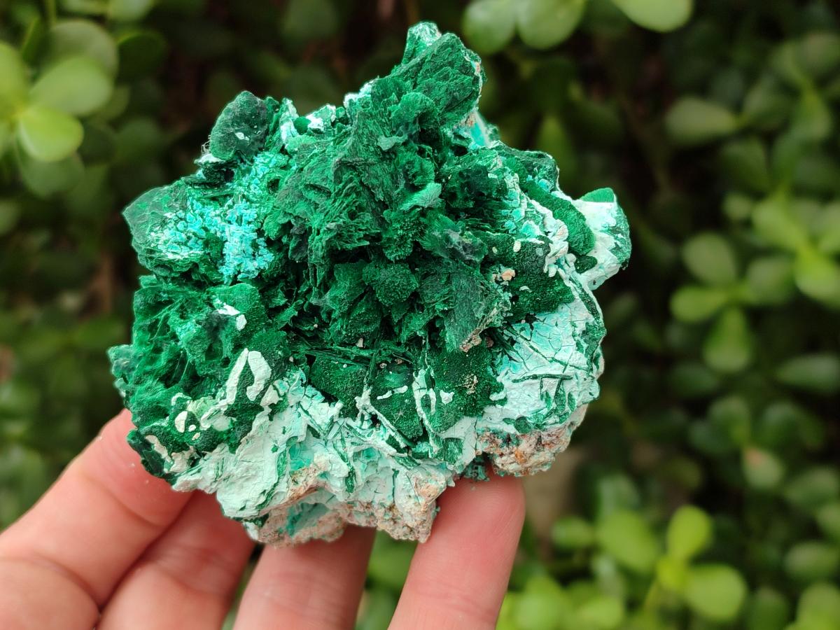 Natural Rare Malachite Pseudomorph Specimens x 6 From Kolwezi, Congo