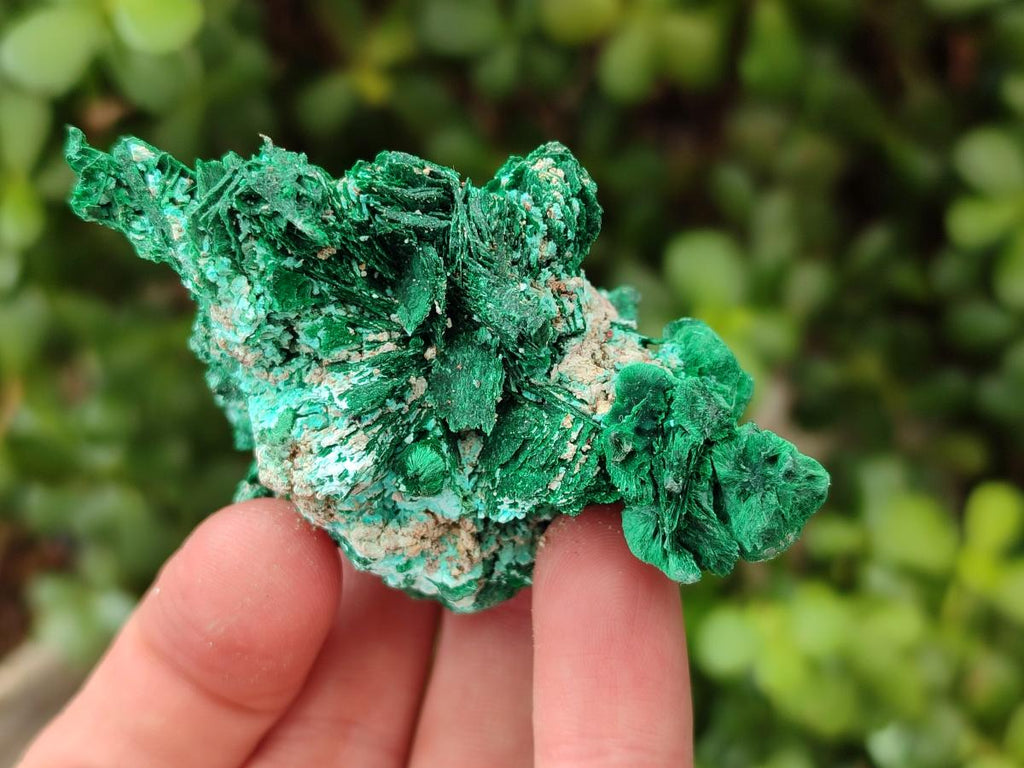 Natural Rare Malachite Pseudomorph Specimens x 6 From Kolwezi, Congo