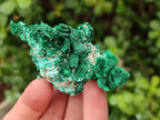 Natural Rare Malachite Pseudomorph Specimens x 6 From Kolwezi, Congo