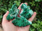 Natural Rare Malachite Pseudomorph Specimens x 6 From Kolwezi, Congo