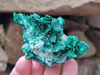 Natural Rare Malachite Pseudomorph Specimens x 6 From Kolwezi, Congo